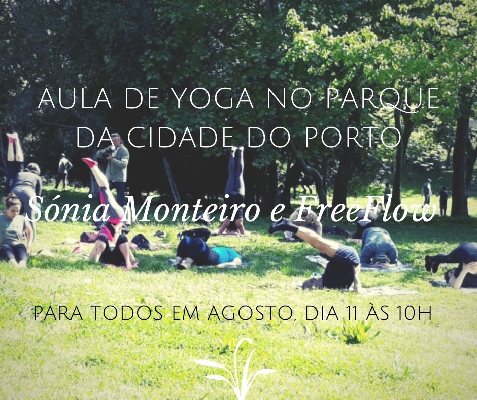 Aula de yoga no parque da cidao Porto