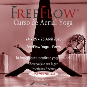 Curso intensivo de Aerial Yoga — 24, 25, e 26 Abril de 2026